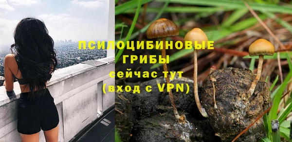 альфа пвп Горно-Алтайск